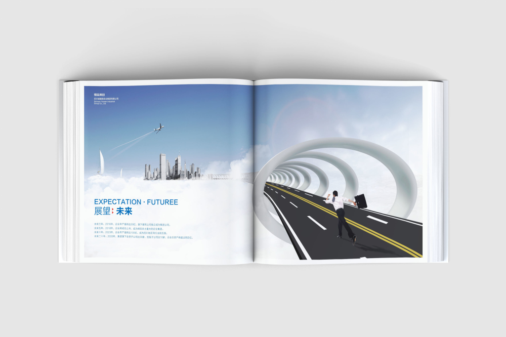 东风区画册设计